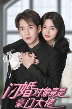闪婚对象竟是豪门大佬