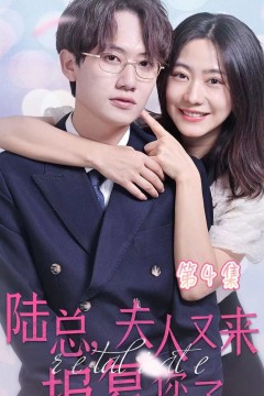 陆总，夫人又来报复您了