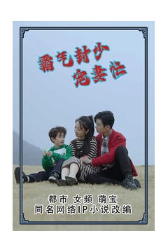 霸气封少宠妻忙