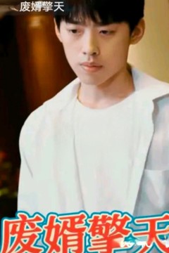 废婿擎天