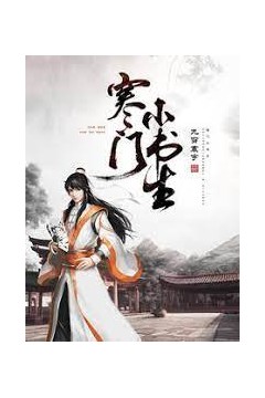 寒门小书生