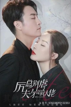 历总别虐了夫人才是真大佬