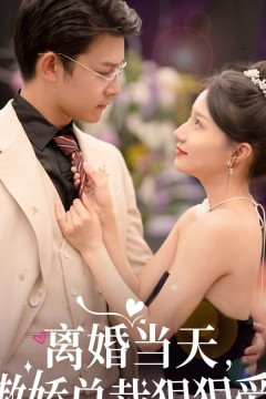 离婚当天，傲娇总裁狠狠爱