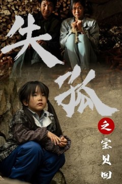 失孤之宝贝回家