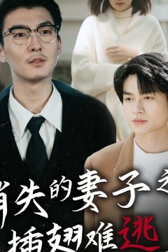 消失的妻子之插翅难逃