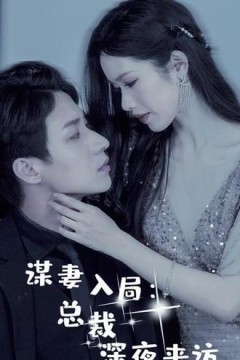 谋妻入局：总裁深夜来访