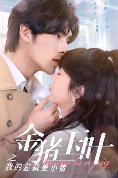 金猪玉叶之我的总裁是小猪