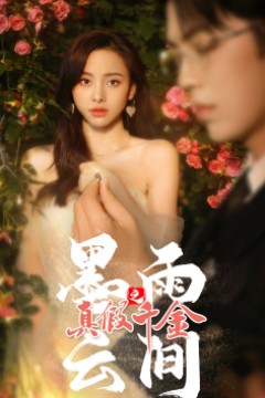 墨雨云间之真假千金