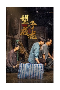 新版：望子成龙