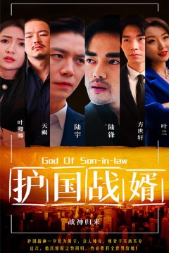 护国战婿