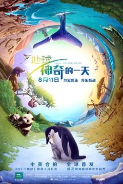 地球：神奇的一天