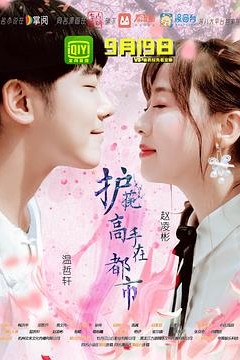 护花高手在都市