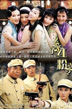 红粉2007