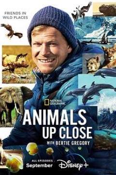 贝尔蒂·格雷戈里：与动物零距离