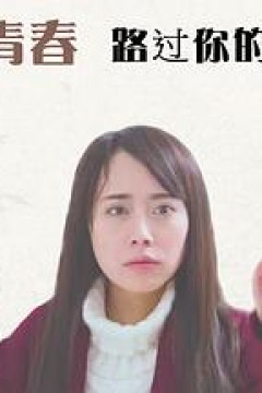 我的青春路过你的锦年