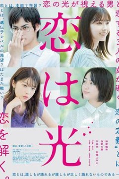 恋之光