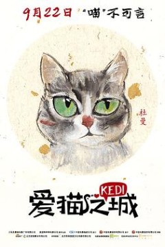 爱猫之城