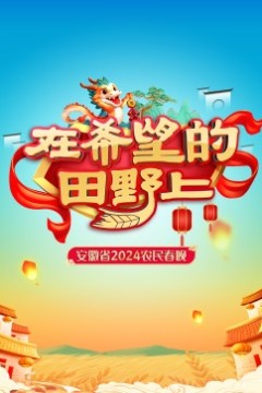 安徽省2024农民春晚