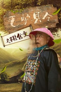 毛驴县令之草鞋公主