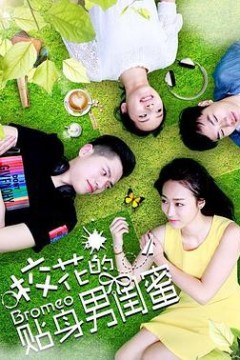 校花的贴身男闺蜜