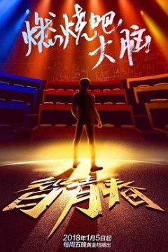 最强大脑之燃烧吧大脑第一季