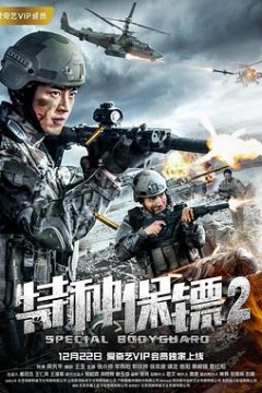特种保镖2
