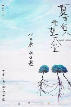 夏有乔木雅望天堂