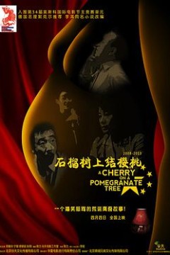 石榴树上结樱桃