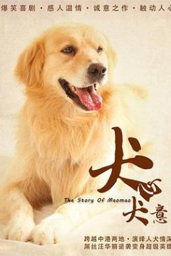 犬心犬意