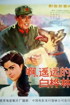 白桦林中的哨所