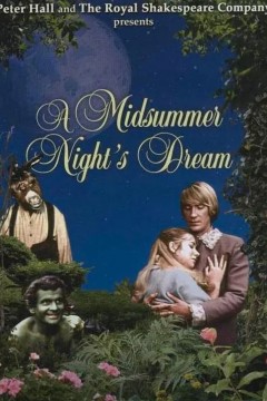 仲夏夜之梦1968