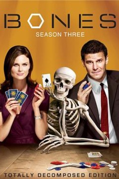 识骨寻踪第三季