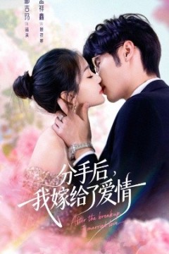 分手后我嫁给了爱情
