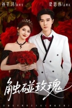 触碰玫瑰(凌晨四点半，玫瑰花未眠)