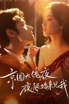 京圈大佬夜夜爬墙来见我，吻上瘾，顾总他破防了