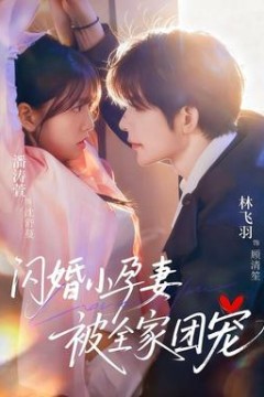 闪婚小孕妻被全家团宠