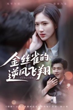 金丝雀的逆风飞翔