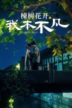 楝树花开之我本不凡