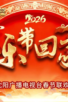 2026把乐带回家沈视春晚