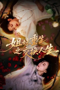 姐妹重生之交换人生