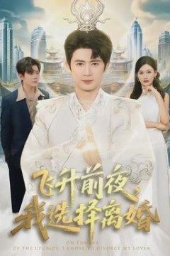 飞升前夜，我选择离婚