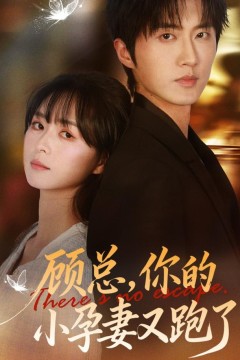 顾总，你的小孕妻又跑了