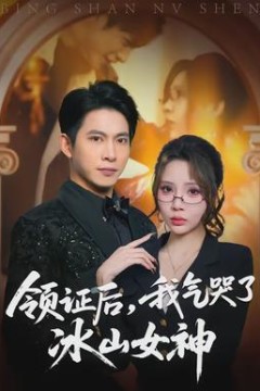 领证后，我气哭了冰山女神