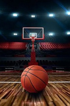 3月17日25-26赛季NBA常规赛 开拓者VS篮网