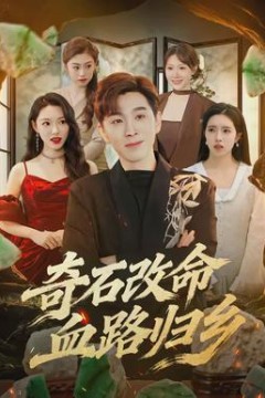 奇石改命血路归乡