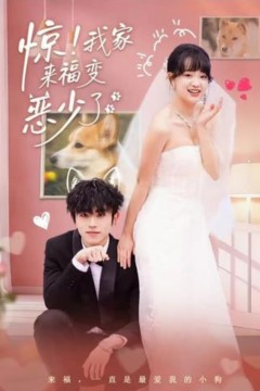 惊！我家来福变恶少了(忠犬变恶少)