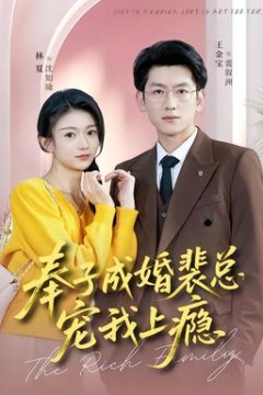 奉子成婚裴总宠我上瘾