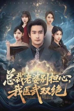 总裁老婆别担心，我医武双绝
