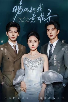 晚风知我意难寻