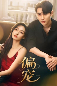 偏宠2026